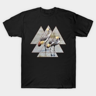 Crown crane - Birds in Kenya / Africa with Graphic T-Shirt